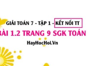 Bài 1.2 SGK Toán 7 tập 1 Kết nối tri thức